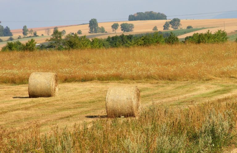 Stosowanie herbicydów selektywnych w uprawach